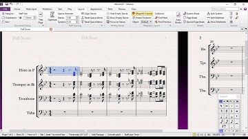 Save "Focus on Staves" in Sibelius