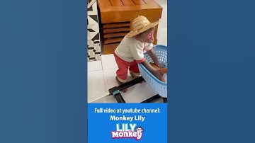 Lily helps dad harvest carrots to make juice P4 #shorts #short #monkey