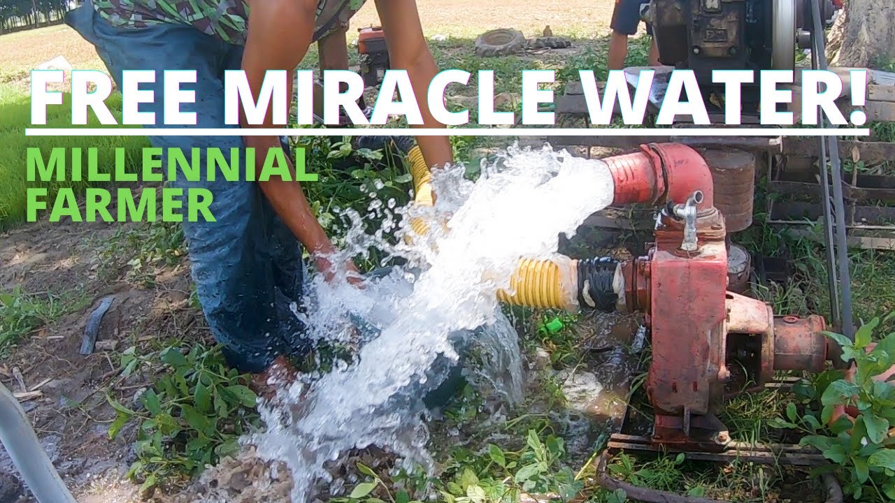 RICE FARMING PHILIPPINES: DEEP WELL FREE WATER