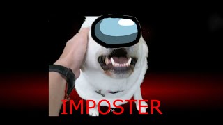 When the imposter is SUS @KnucklesfanVideos