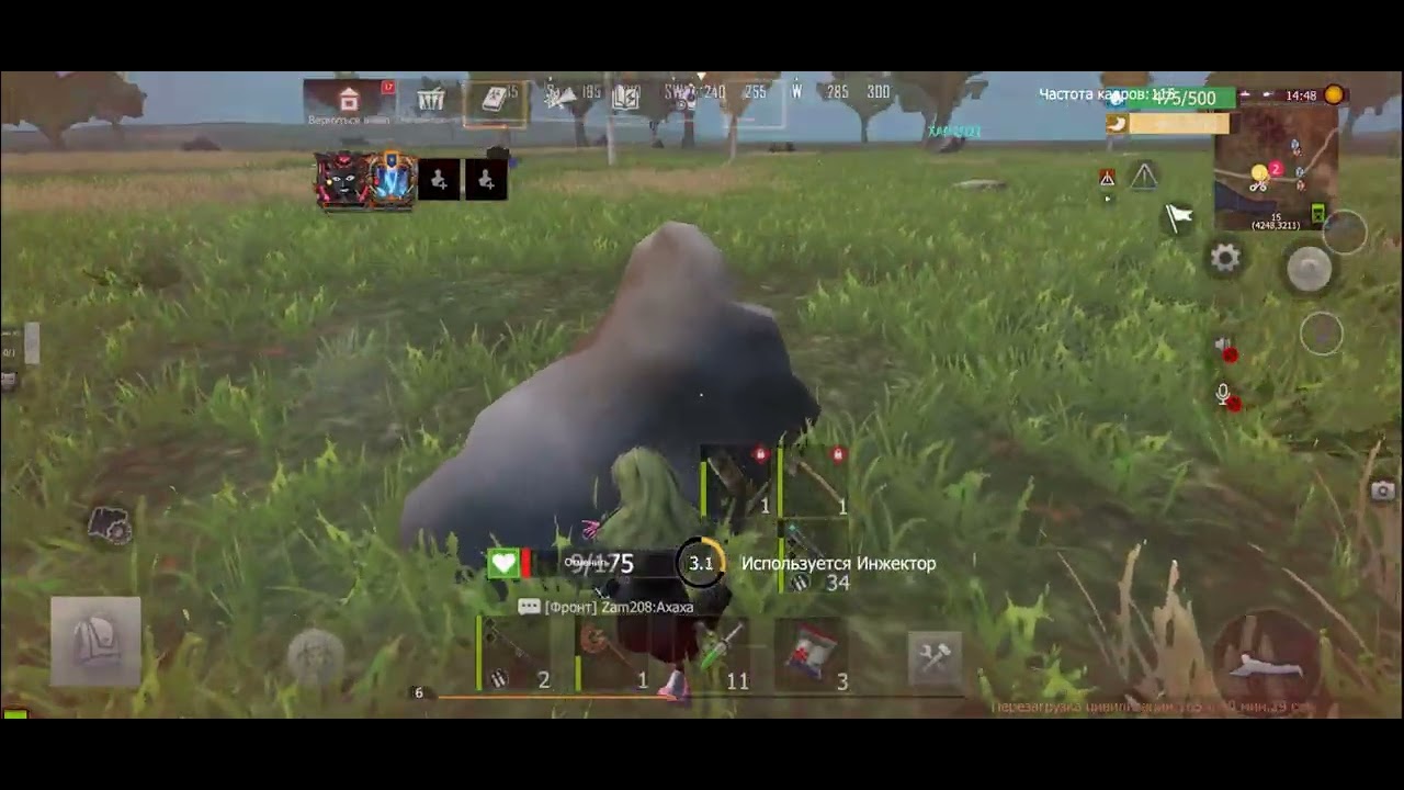 Solo/duo 40+20$ Wild island часть #1 