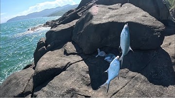 Ngày nắng  mũi nghê sơn trà đà nẵng # câu cá biển