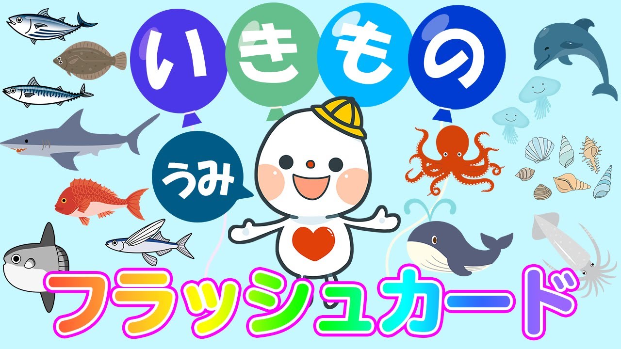 45R 海の生き物達 45R 海の生き物達