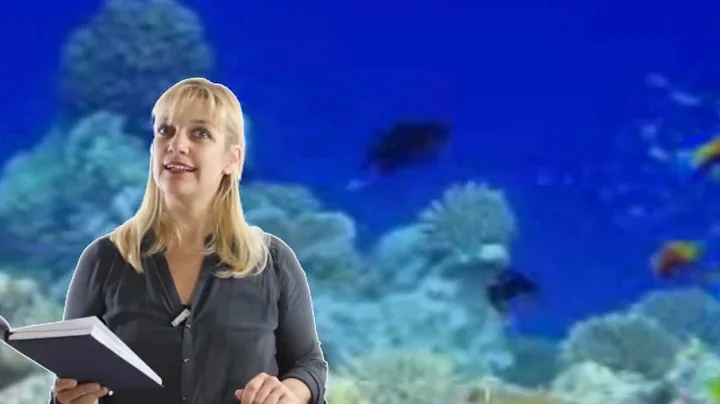 Children's Poetry Video "I Found a Flounder" by Da...