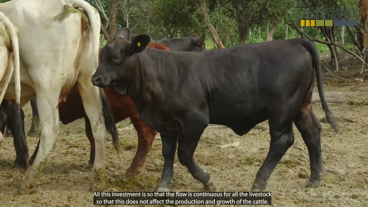 ESTANCIA LA HUELLA - PARAGUAYAN CHACO (ENGLISH SUBTITLE)