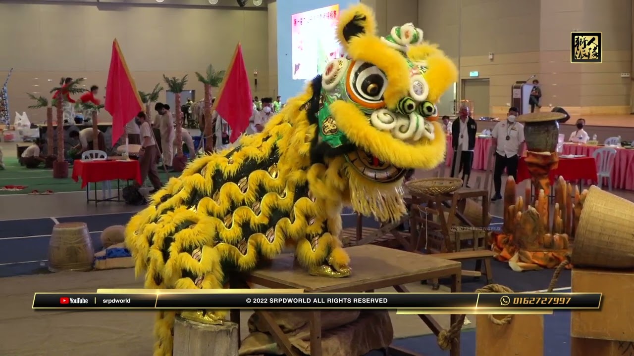 #liondance  甲洞弘德體育會
