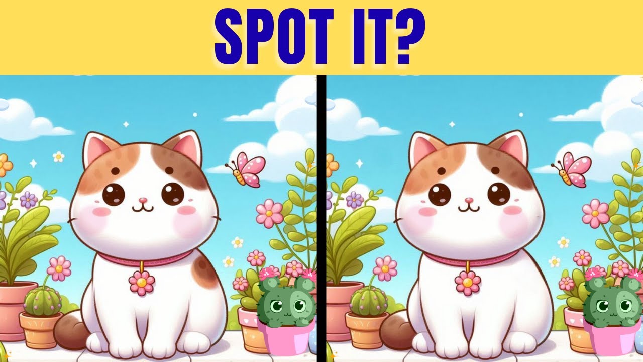 Can You Find | Spot the difference | Puzzle games | Find the difference | 