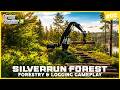 🪵 MASSIVE FORESTRY PROJECT BEGINS! 😱🚜 SILVERRUN FOREST TRANSFORMATION! 🌲