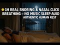 ЁЯШ 1H Real Snoring Nasal Click Breathing тАУ No Music Sleep Audio Authentic Human Rest ЁЯШ 1H Real Snoring Nasal Click Breathing тАУ No Music Sleep Audio Authentic Human Rest