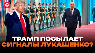 видео: Комплименты Трампа Лукашенко: что это значит? |Что произошло на саммите ШОС| Роль Беларуси| Пустовой картинка: Комплименты Трампа Лукашенко: что это значит? |Что произошло на саммите ШОС| Роль Беларуси| Пустовой