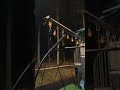 Flacchi Store #lantern #solar #light #summervibe #fyp
