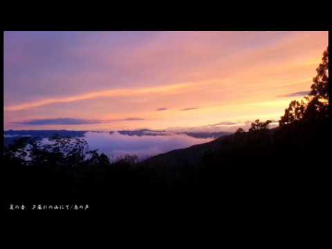 夏の音 夕暮れの山にて 鳥の声