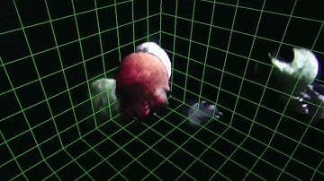 More 3D sprite stuff!