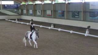 Pixie Jay - Winners - Petplan Area Festival at Medium Bronze at Wellington