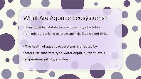 What Are Aquatic Ecosystems? - Ecosystem Essentials