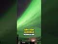 MEJORES sitios para VER las AURORAS BOREALES