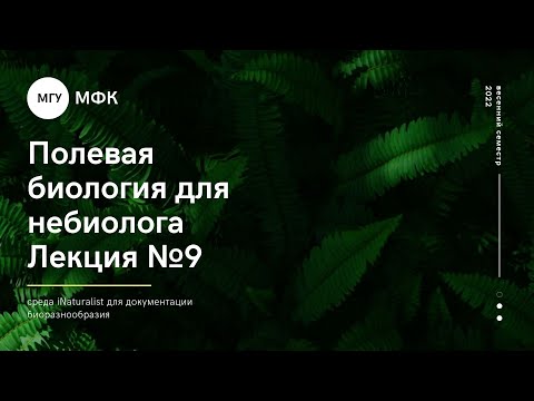 Видео: С какво е известен резерват Khopersky?