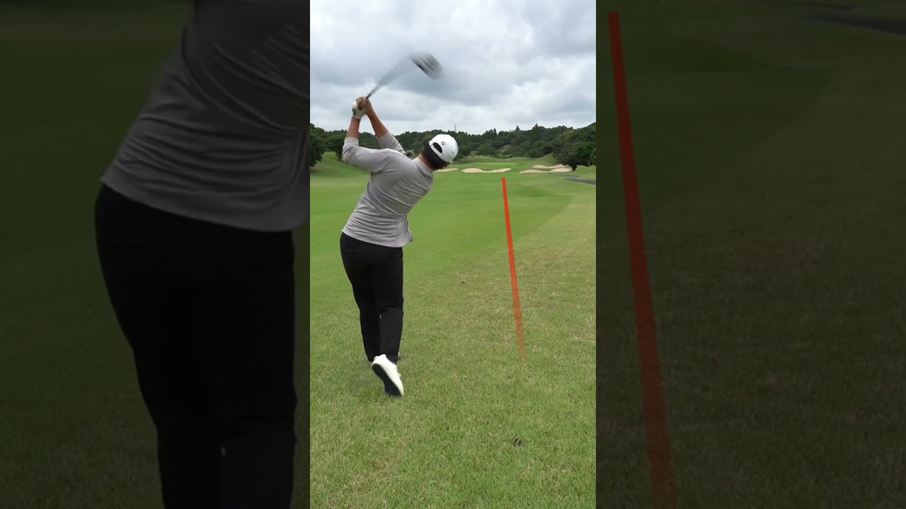 エコカラット ゴルフ馬鹿 エコカラット ゴルフ馬鹿 楽天市場】【9／4〜11 スーパーセール