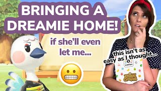 Moving in a Dream Villager! (if she'll even let me) | Animal Crossing New Horizons