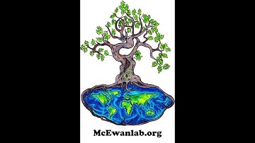 Creating a box plot and bar chart with error bars in GGPlot