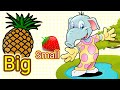 Big And Small Basic Sizes Kindergarten Lessons Math For Kids Big And Small Basic Sizes Kindergarten Lessons Math For Kids