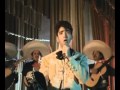 ami querido viejo vicente fernandez