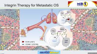 Osteosarcoma Update from Dr. Huang - 2019 OutSmarting Osteosarcoma recipient