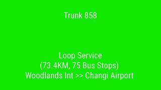 [Singapore Bus Route Visual] Tower Transit Trunk Bus Service 858