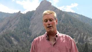 College Insights Demo