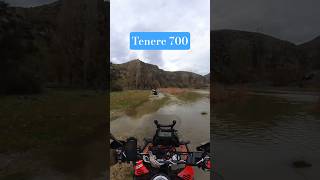 Honda Crf 250 Rally | Tenere 700  #crf250rally #tenere700