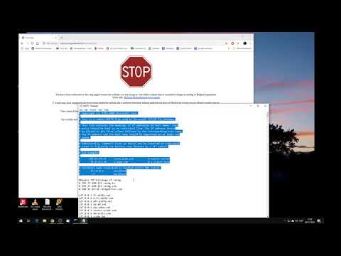 Contourner votre DNS pour des domaines spécifiques