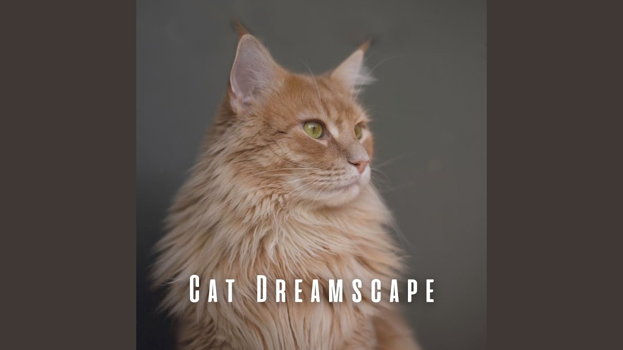 Gentle Piano for Cats