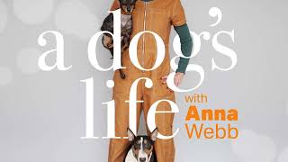 Collars and Leads with Kristian Maris