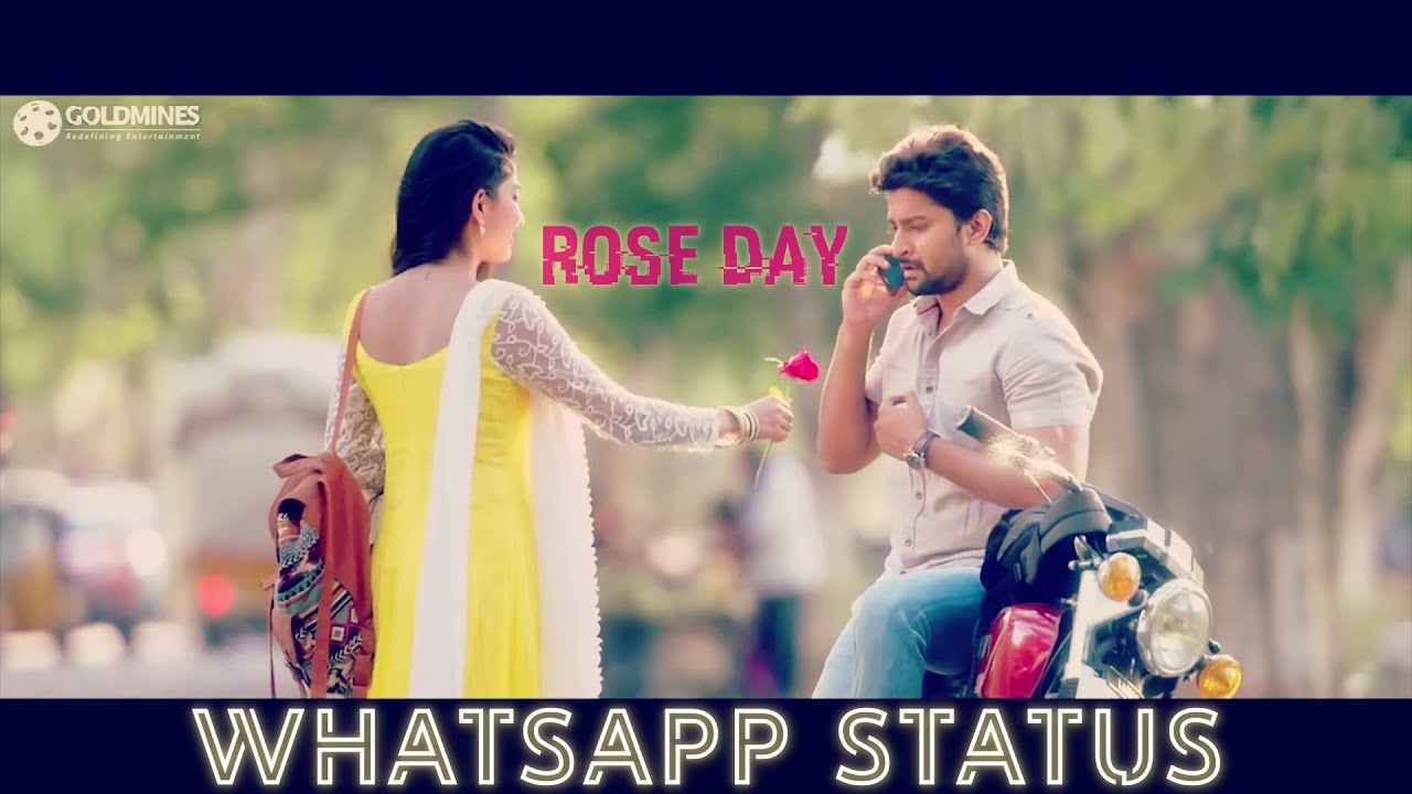 rose day whatsapp status 🌹 valantines day 1 💕 love 💕 tamil status YouTube