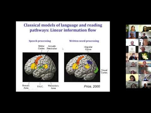 Surprising generalizations in the neural implementation of Hebrew and English word reading recording thumbnail