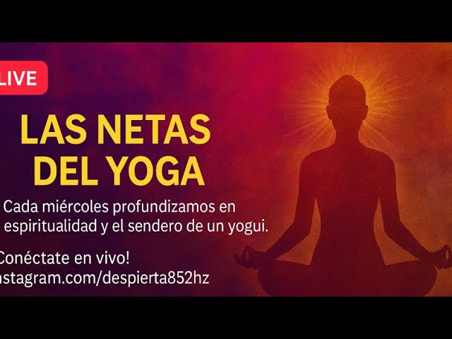 Las netas del yoga