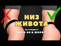 НИЗ ЖИВОТА не уйдет, пока ты не исправишь ЭТО!