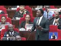 Umebarikiwa Tunakuombea Uchaguliwe 2027 Tanzania MP Melts President Ruto S Heart With Praises 