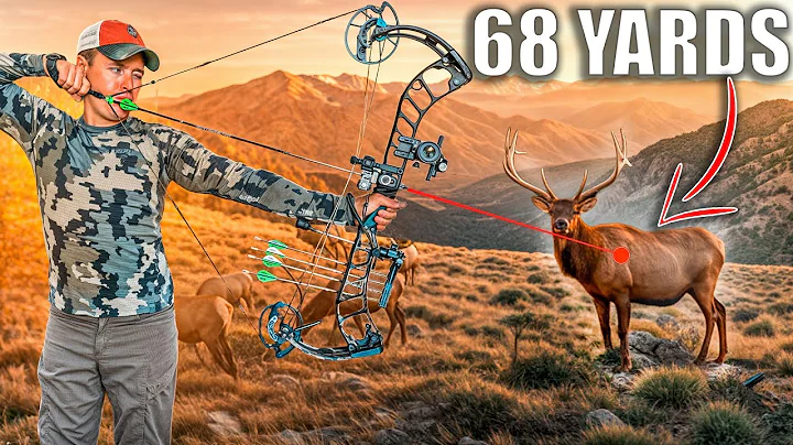 New Mexico DIY Archery Elk Hunting - Bull Down