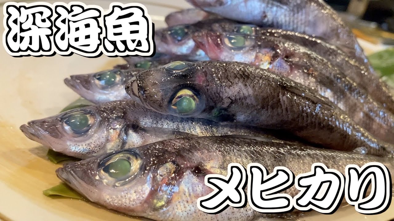 【メヒカリ】脂がたっぷりのったメヒカリを使って、一夜干しと握り寿司を作ってみた！果たしてお味は…？