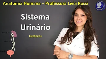 Qual é a função dos ureteres?