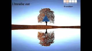 CARDIAC COHERENCE - RELAXATION - Exercise 22 - 5 min