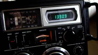 Panasonic DR29