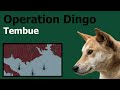 Operation Dingo: Attack on Tembue (The Rhodesian Bush War, 1977)