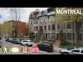 Montreal Walks in Plateau from Milton Park to La Fontaine Park | Montreal Walking Video 2021