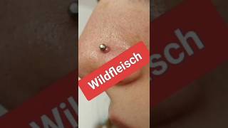 Wildfleisch Am Piercing⁉️ Wir Sagen Euch Was Wir Unseren Kunden Gegen Wildfleisch Empfehlen