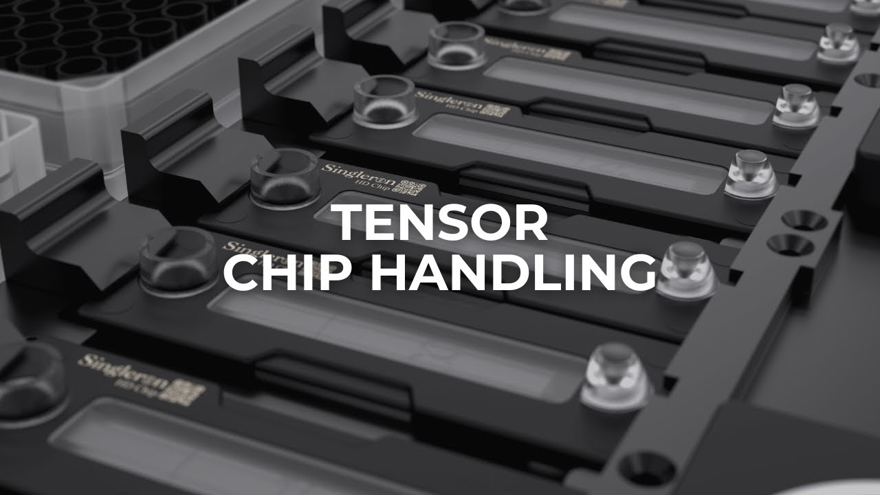 Tensor Automated Chip Handling - YouTube
