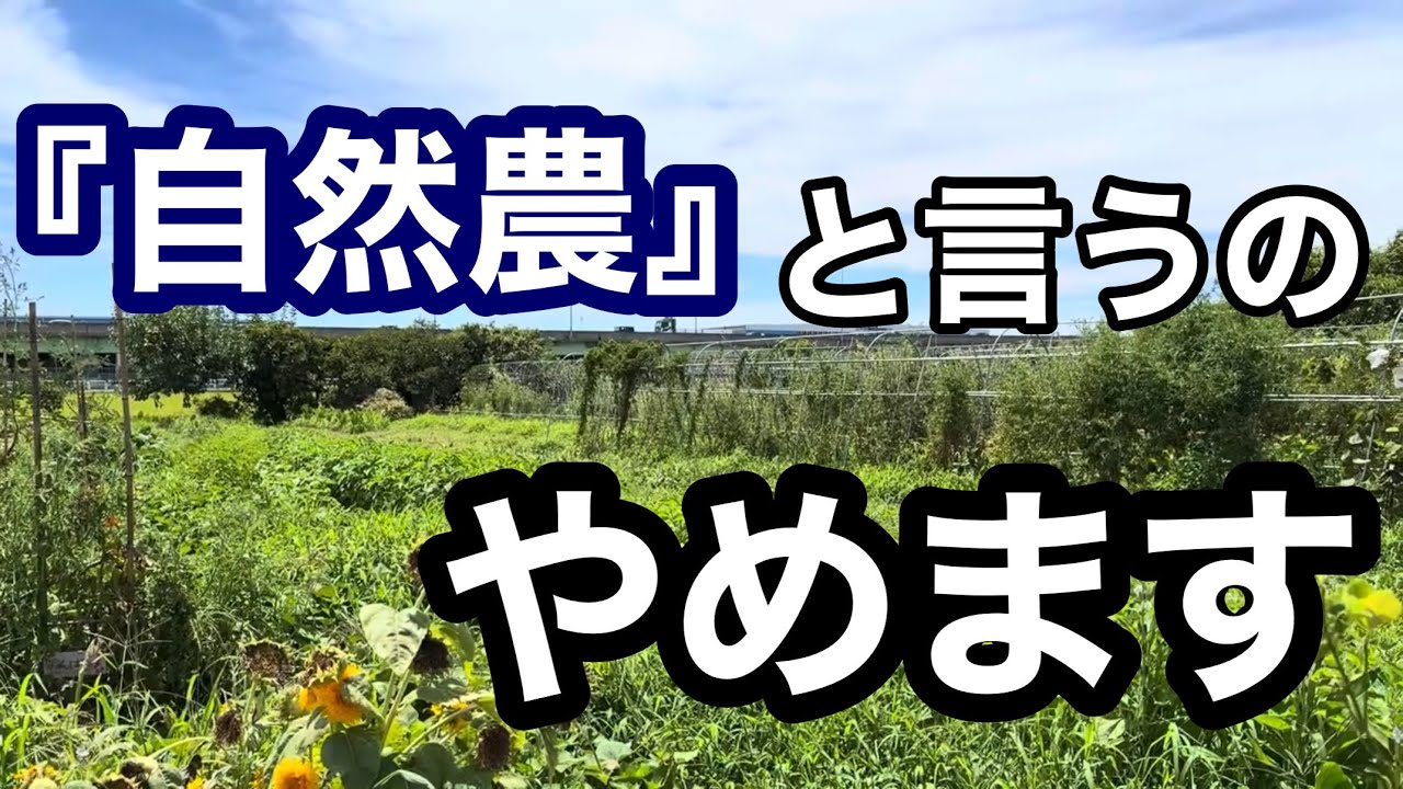 自然農ではなく自然栽培や自給農と言うことにしました。