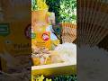 Vishu Hampers/Vishu gifts/Happy Vishu/Vishu 2026 #vishu2026 #happyvishu