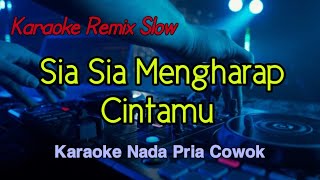 Sia Sia Mengharap Cintamu - Karaoke Nada Pria Remix Slow 